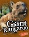 Giant Kangaroo cover