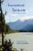 Incarnational Spirituality cover
