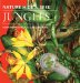 Jungles cover