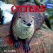 Otters cover