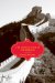 The Chinese State at the Borders cover