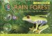 Rain Forest : A Journey from the River to the Treetops cover