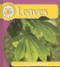 Leaves cover