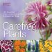  Carefree Plants: 200 Beautiful, Low-maintenance Plants Anyone Can Grow
