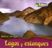 Lagos y estanques/ Lakes and Ponds cover