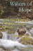 Waters of Hope : From Vision to Reality in Himalaya-Ganga Development Corporation cover