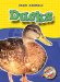 Ducks cover