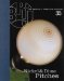 The Baseball Research Journal 36 cover