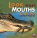 Look What Mouths Can Do cover