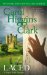 Laced : A Regan Reilly Mystery cover
