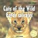 Cats of the Wild/Gatos Salvajes cover