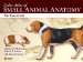  Color Atlas of Small Animal Anatomy: The Essentials
