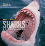 Face to Face With Sharks [Click for larger image]