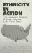 Ethnicity in Action : The Community Resources of Ethnic Languages in the United States cover