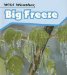 Big Freeze cover