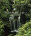 Principles of Environmental Science cover