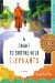 A Chant to Soothe Wild Elephants: A Memoir