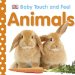Animals cover