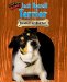 Jack Russell Terrier : Bundle of Energy cover