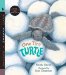 One Tiny Turtle : Read And Wonder cover