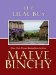 The Lilac Bus: Stories