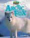 Arctic Fox : Very Cool! cover