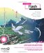Foundation Flash Cartoon Animation cover