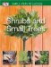  Shrubs and Small Trees