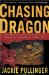 Chasing the Dragon : One Woman's Struggle Against the Darkness of Hong Kong's Drug Dens cover