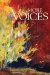 More Voices cover