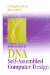 Introduction to DNA Self-Assembled Computer Design cover