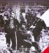 Brady's Civil War : A Collection of Memorable Civil War Images Photographed by Mathew Brady and His Assistants cover