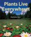  Plants Live Everywhere!