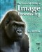 The Essential Guide to Image Processing