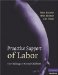  Proactive Support of Labor: The Challenge of Normal Childbirth