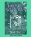 Lake Of Sorrows cover