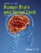 Atlas of the Human Brain and Spinal Cord cover