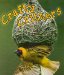 Crafty Critters cover