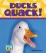 Ducks Quack! cover