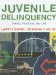Juvenile Delinquency : Theory, Practice, and Law cover