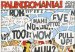 Palindromania! cover