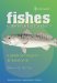 Fishes Of The Texas Laguna Madre : A Guide for Anglers & Naturalists cover
