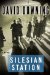 Silesian Station cover