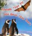Animals That Fly and Birds That Don't cover