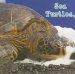Sea Turtles, What Do You Do? cover
