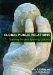  Global Public Relations: Spanning Borders, Spanning Cultures