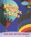 Looking at Solids, Liquids, and Gases : How Does Matter Change? cover