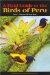 A Field Guide to the Birds of Peru cover