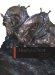 Heart of the West : New Painting and Sculpture of the American West cover
