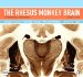 The Rhesus Monkey Brain in Stereotaxic Coordinates cover